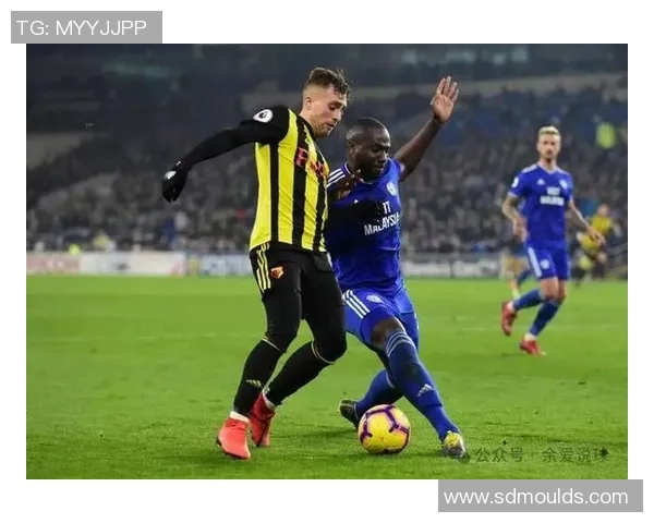 南安普敦主场迎战莱切斯球队期待精彩对决与胜利之争