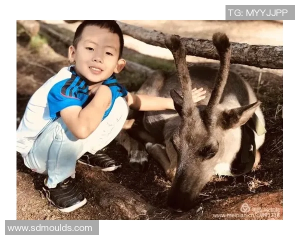 对话周静：回顾她的足球生涯与成长历程的深度访谈