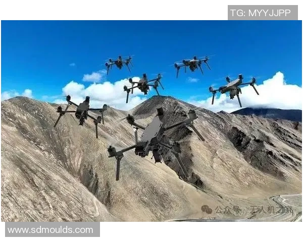 重磅专题：探秘北京飞盘队的盯防策略与战术创新之路